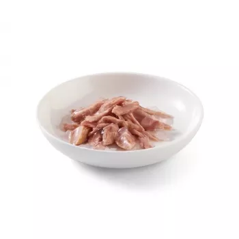 SCHESIR in jelly Tuna - wet cat food - 85 g