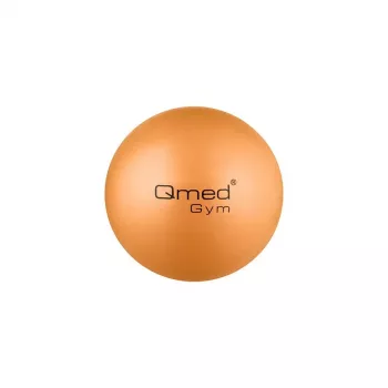 ABS rehabilitation ball 25 cm with pump