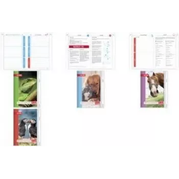 ROTH Homework Planner Puffin (Papageientaucher), A5, Lined, 104 Sheets (ROTH 89511)