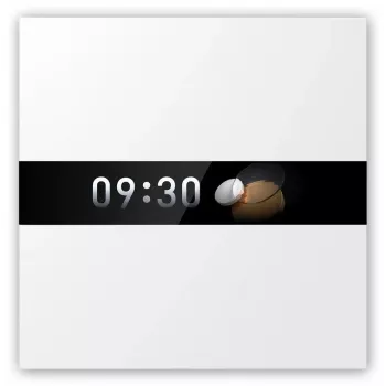 AQARA Display Switch V1 (WS-K02D) - Zigbee switch with display