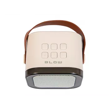 Karaoke hangszóró, KARAOKE RGB Bluetooth hangszóró, 30W