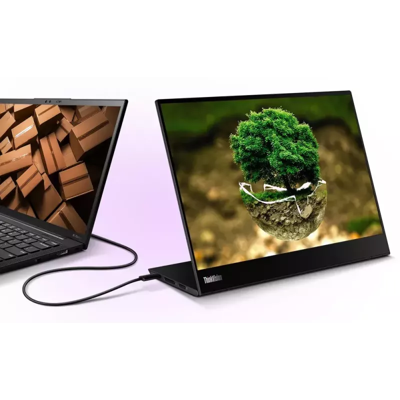 Lenovo ThinkVision M14t monitor 14