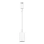 APPLE USB-C - USB adapter