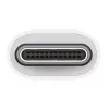 APPLE USB-C - USB adapter