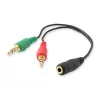 Equip Audio Split Cable, Black, 3.5 mm, 2 x 3.5 mm, Female, Male, Polyvinyl chloride (PVC)