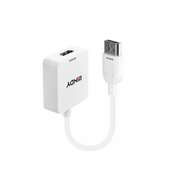 Lindy 38146 HDMI to DisplayPort converter, 4K 3840x2160 30Hz