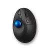 Mouse Kensington ProFit Ergo TB450 Trackball Wireless