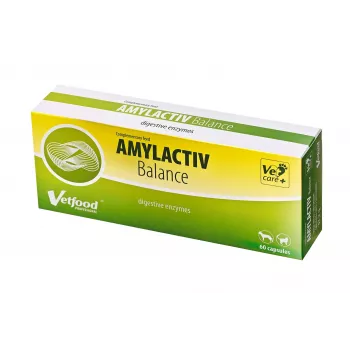 Vetfood Amylactiv Balance emésztést támogató kutyáknak és macskáknak 60 kapszula
