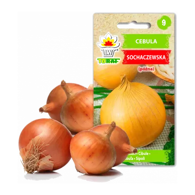 Zöldségmagok