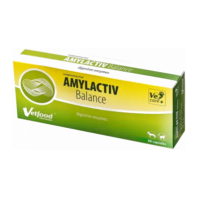 Táplálékkiegészítők kisállatoknak
