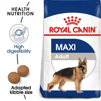 Royal Canin SHN Maxi Adult száraz kutyaeledel, 4 kg