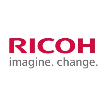 Ricoh D6063112 súrlódópárna (100 darab)