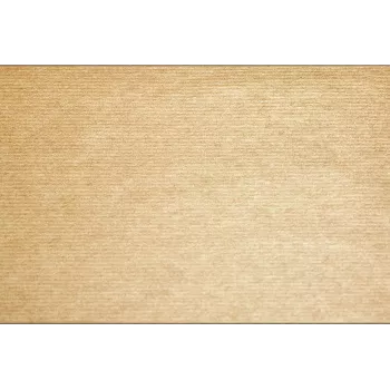 PROnappe 500 terítő Tiss lakkozott natúr 30,0 x 40,0 cm