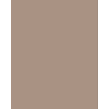 Folia 614/50 73 Cappuccino Solid A4 karton 300 g/m² 50 lap