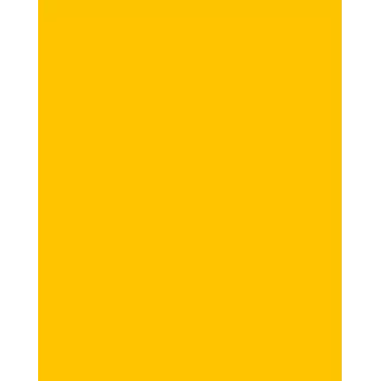 Folia 614/50 15 karton A4 aranysárga 300 g/m² 50 lap