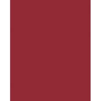 Folia 614/50 22 - piros - egyszínű - A4 (210 x 297 mm) - 300 g/m² - 50 lap - Németország