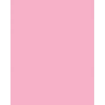 Folia 614/50 26 - Rose - Plain - A4 (210 x 297 mm) - 300 g/m² - 50 Sheets - Germany