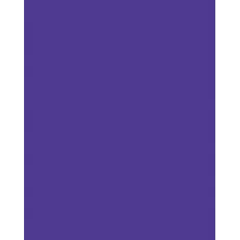 Folia 614/50 32 - lila - egyszínű - A4 (210 x 297 mm) - 300 g/m² - 50 lap - Németország