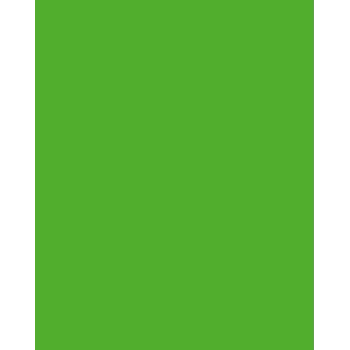 Folia 614/50 55 - zöld - egyszínű - A4 (210 x 297 mm) - 300 g/m² - 50 lap - Németország