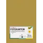 Folia 614/50 65 - arany - egyszínű - A4 (210 x 297 mm) - 300 g/m² - matt - 50 lap