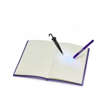 Dickie Wednesday Journal varázstollal 209452008