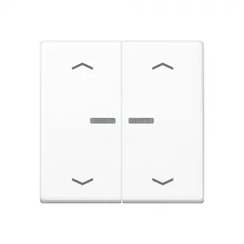 JUNG Home nyomógomb 2-es Bluetooth AS 17102 P WW