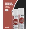 Teslanol rozsdaoldó spray 200 ml