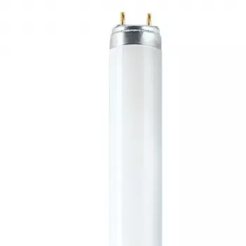 OSRAM L T8 36W/840 G13 fénycső 1200mm 4000K hideg fehér