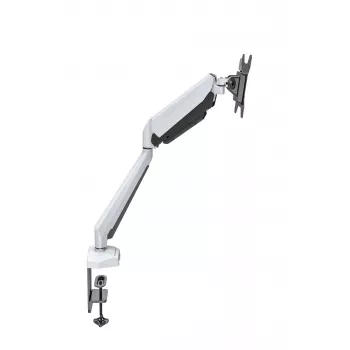 Rockstable RS-MM010W Professional Single Monitor Mount - asztali bilincs/átvezetés - 8 kg - 15-32 inch - 100x100 mm - fehér