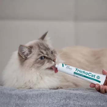 VETEXPERT TrichoCat szőrgolyó-ellenes paszta macskáknak 120 g