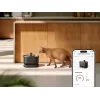 Petlibro Dockstream appos ivókút, fekete