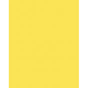 Folia 614/50 12 sárga A4 karton 300 g/m² 50 lap