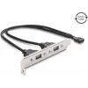 Delock USB 2.0 slotblende 2 x EASY-USB Type-A porttal