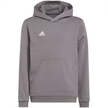 adidas Entrada 22 kapucnis pulóver gyerek szürke 152 cm