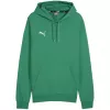 PUMA Team Goal Casuals kapucnis pulóver férfi Forest Green 658618 05