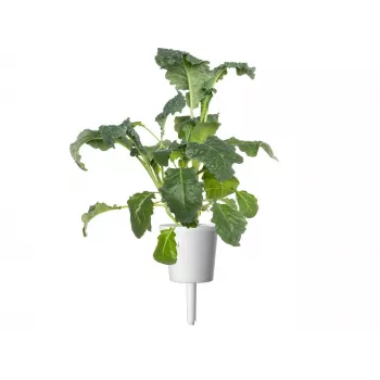 Click & Grow Smart Garden utántöltő csomag, 3 ültetőcserép (SGR86X3)