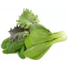 Click & Grow PPMAGX9 Smart Garden ültetőkapszula 9 darabos (vegyes fajták, biológiailag lebomló, kupakkal)
