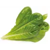 Click & Grow SGR50X3 saláta ültetőkapszula utántöltő csomag (3 darabos)