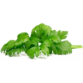 Click & Grow metélőzeller ültetőkapszula Smart Garden készülékhez, 3 darabos (SGR97X3)
