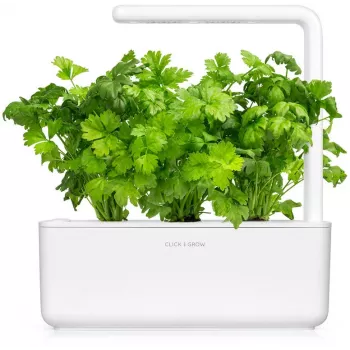 Click & Grow metélőzeller ültetőkapszula Smart Garden készülékhez, 3 darabos (SGR97X3)