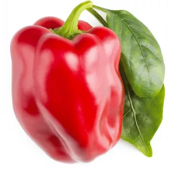 Click & Grow SGR63X3 Smart Garden 3 ültetőkapszula utántöltő csomag (3 kapszula, biológiailag lebomló, előültetett, Smart Soil)