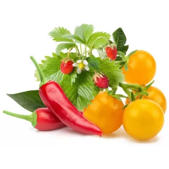 Click & Grow gyümölcs- és zöldségmix növénykapszulák Smart Gardenhez, 9 darabos csomag (PPMFVX9)