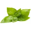 Click & Grow citrombazsalikom növénykapszulák Smart Gardenhez, 3 darabos csomag (SGR76X3)