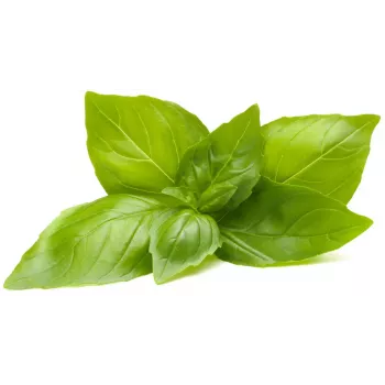 Click & Grow citrombazsalikom növénykapszulák Smart Gardenhez, 3 darabos csomag (SGR76X3)