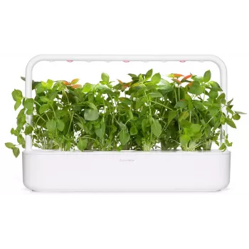 Click & Grow citrombazsalikom növénykapszulák Smart Gardenhez, 3 darabos csomag (SGR76X3)