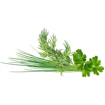 Click & Grow Plant Pod Classic Garnish Mix, 9 db (PPMCGX9)