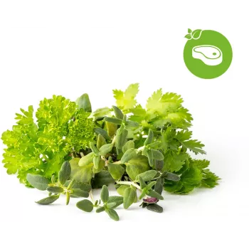 Click & Grow steak fűszerkeverék növénykapszulák Smart Gardenhez, 9 darabos csomag (PPMSSX9)