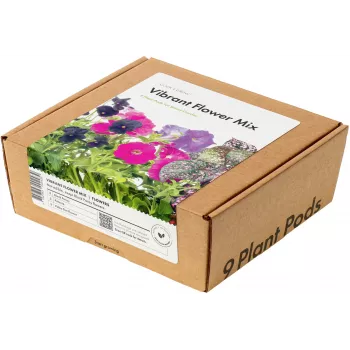 Click & Grow Vibrant Flower Mix növénykapszula Smart Gardenhez, 9 darabos csomag (PPMVBX9)