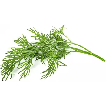 Click & Grow SGR49x3 kapor növénykapszula utántöltő csomag, 3 darabos