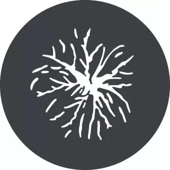 Godox GP GS2 gobo készlet GP vetítőfeltéthez (6 minta)